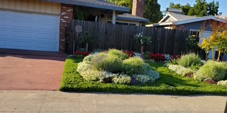 Landscaping Services